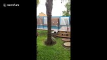 Water sloshes around in swimming pool during earthquake in Mexico