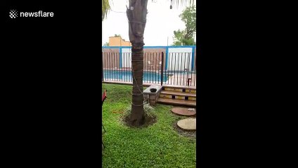 Water sloshes around in swimming pool during earthquake in Mexico