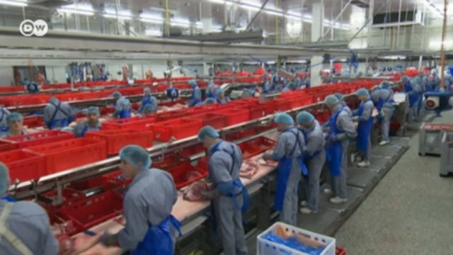 Новая вспышка коронавирусной инфекции на мясокомбинате в Германии (23.06.2020)