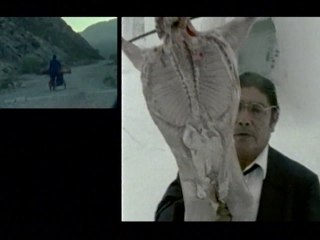 Control Machete - Ileso