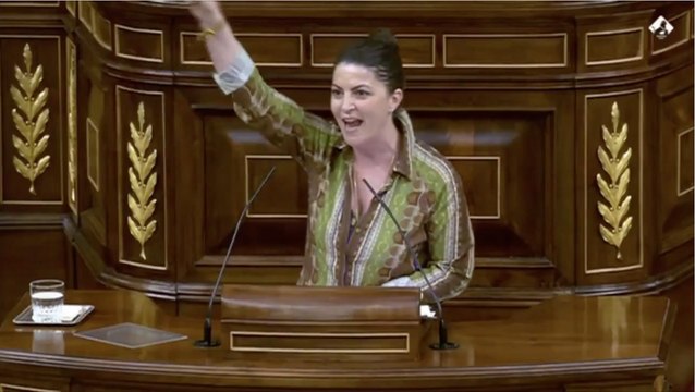 Una diputada de Vox defiende a gritos en el Congreso que la violencia no tiene género y que la ley de 2004 es puro hembrismo