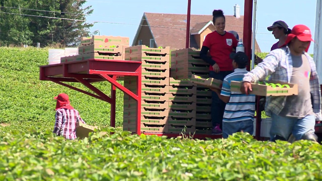 23 juin-PG-Ferme Bourdages