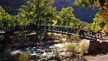 Black Desert Background