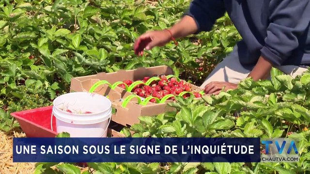 TVA Nouvelles 18H CHAU 23 Juin 2020