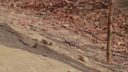 It’s So Hot in the Grand Canyon People’s Shoes Are Falling Apart