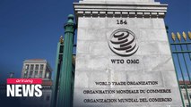 Global trade expected to drop by 18.5% in Q2 due to COVID-19: WTO