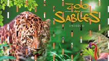 Visite au Zoo des Sables D ' Olonne ( Vendée ) , Mardi 23 Juin 2020
