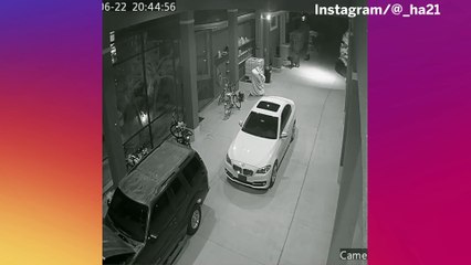 HaHa Clinton-Dix Has Hilarious Encounter With Bear And Cub