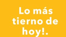cachorros que te llenan de ternura.