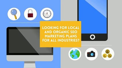Local and Organic SEO Marketing Plans by Moonraker AI