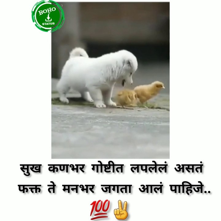 New Motivational Status | Latest Motivation Whatsapp Status 2020| New status | New motivational status