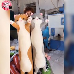 Những Video Triệu View thõa mãn Người xem Trên Tik Tok China P(34) - Best Oddly Satisfying Video