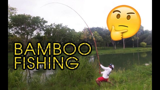 Fishing with BAMBOO POLES!