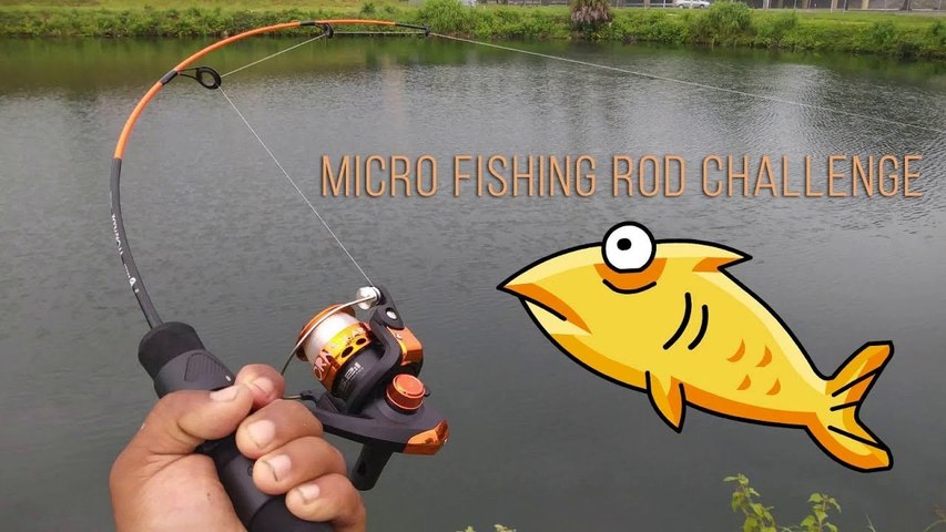 Micro Fishing Rod Challenge! - video Dailymotion