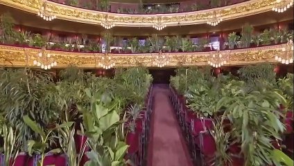 Barcelona'da karantina sonrası sıradışı konser: Sanatçılar çaldı, bitkiler dinledi!