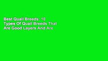 Best Quail Breeds: 10 Types Of Quail Breeds That Are Good Layers And Are Best