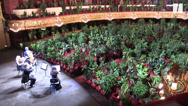 L'opéra de Barcelone rouvre avec des plantes pour spectateurs