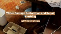 Water Damage Restoration and Repair Flushing
