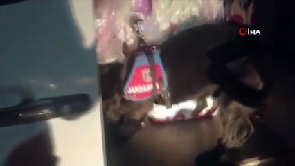 Kilim ve halıların arasına gizledikleri uyuşturucuyu Uşak’a götüreceklerdi, yakalandılar