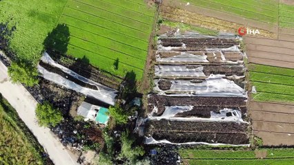 Hortumun vurduğu seralar drone ile görüntülendi