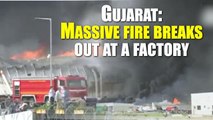 Gujarat: Massive firefighting operations underway at GIDC in Sanand | Oneindia News