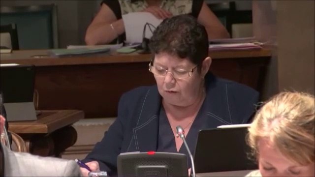 Jeannine TISSERANDOT. Discussion générale. Session du 24 juin 2020.