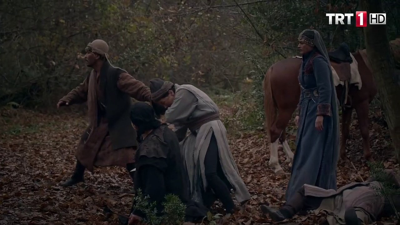 ertugrul nashed أرطغرل