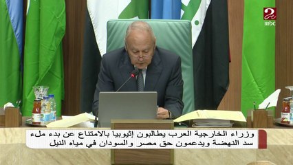 وزراء الخارجية العرب يعلنون رفضهم التام للتدخل الخارجي في ليبيا