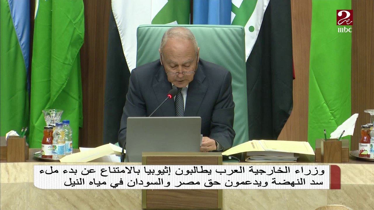 وزراء الخارجية العرب يعلنون رفضهم التام للتدخل الخارجي في ليبيا