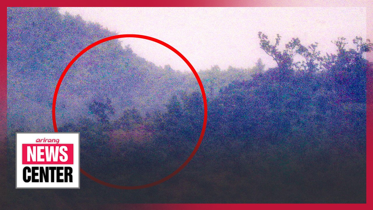 N. Korean leader suspends military action plans near inter-Korean border