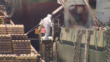 러시아 선박 '승선 검역'...전자검역 허점 드러나 / YTN