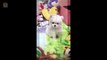 Aww - Funny and Cute Dog and Cat Compilation 2019 #12 - CuteVN