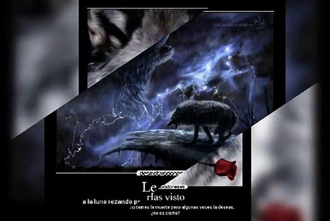 Fdo. VD.  Imágenes con frases para reflexionar... (El lobo). Fernando Vara Díaz