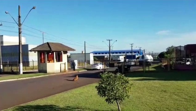 Mulheres sofrem queimaduras ao serem atingidas por caldeirão com parafina em Núcleo Industrial