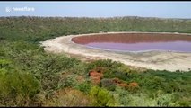 Huge 50,000-year-old crater lake in India mysteriously changes colour to pink
