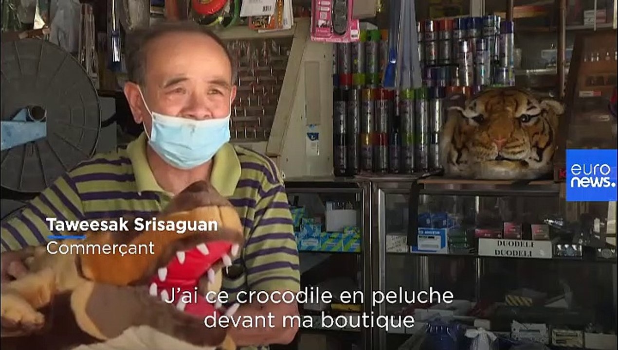 Thaïlande : envahie par les macaques, "la ville des singes" contre-attaque