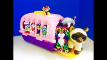 LEARNING to Count for Kids with PAW PATROL Toys and Beanie BOO Pet Crate Collection-