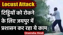 Locust Attack: राजस्थान में टिड्डियों को रोक ने के लिए किया जा रहा रासायनिक छिड़काव | वनइंडिया हिंदी