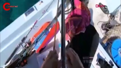 Kamerayla çekim yaparken balon balığı böyle ısırdı!