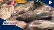 BFAR assures fish, shrimps sold in markets safe to eat