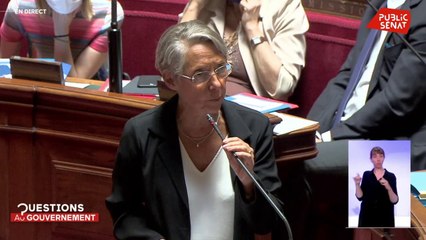 Attaquée sur sa légitimité, la convention citoyenne mérite le « respect », selon Elisabeth Borne