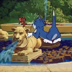 Tom and jerry cartoon funnies