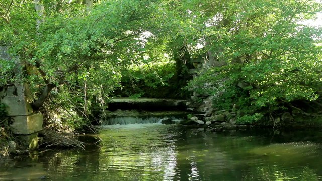 Histoires de plantes Des hommes et des plantes - épisode 4