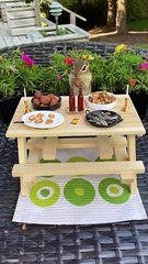 Adorable Chipmunk Enjoys a Picnic Feast