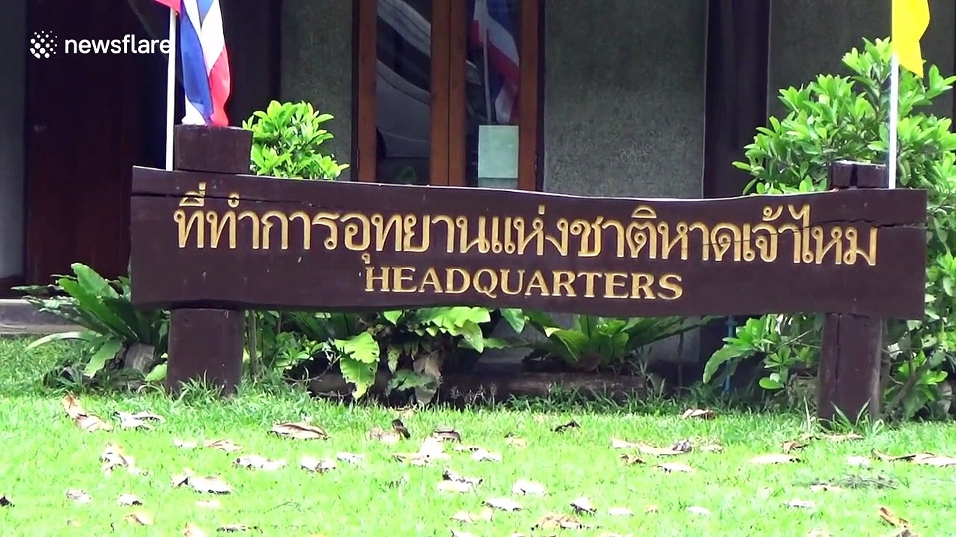 ⁣Monkeys greet tourists again as Covid-19 travel ban eases in Thailand