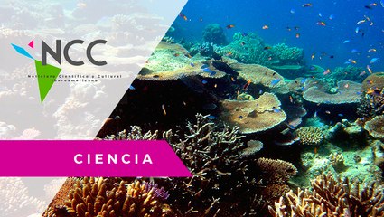 Mé­xi­co cuen­ta con el “la­bo­ra­to­rio na­tu­ral” más jo­ven del pla­ne­ta