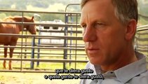 Documental Buck (2011) Subtitulado. Parte 2 de 2.