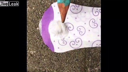 Ce qu'elle va trouver dans sa serviette hygiénique est terrifiant... belle araignée