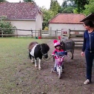 Quand tu pars en balade avec ton poney, ton âne et ta poule