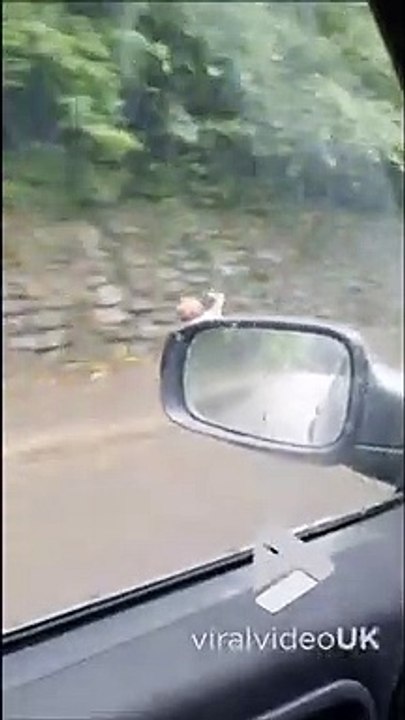 Cet escargot fait un petit tour de voiture...